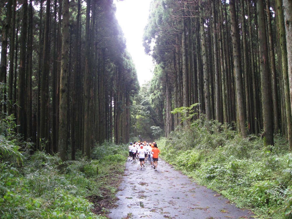 20070909avrc 002.jpg